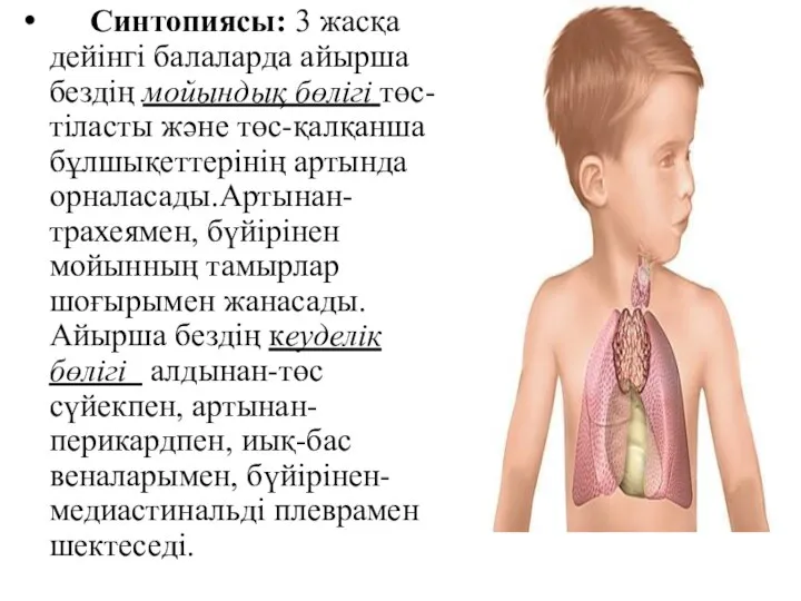 Синтопиясы: 3 жасқа дейінгі балаларда айырша бездің мойындық бөлігі төс-тіласты және төс-қалқанша