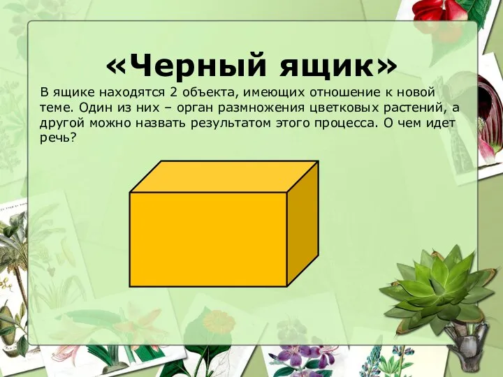 «Черный ящик» В ящике находятся 2 объекта, имеющих отношение к новой теме.