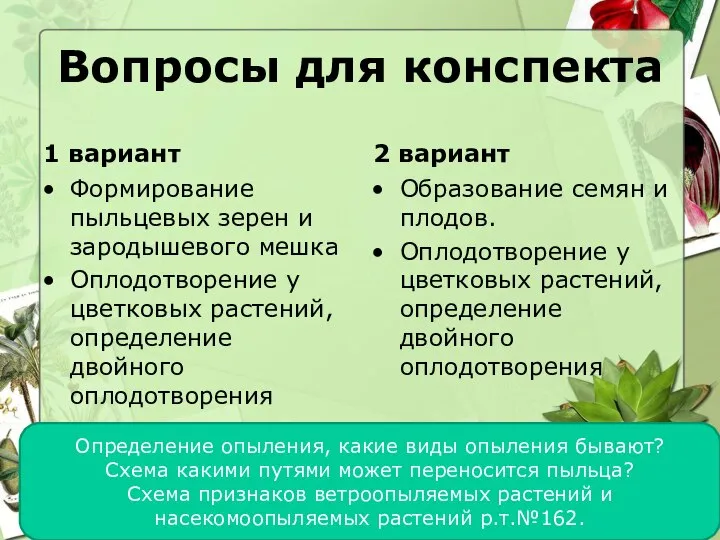 Вопросы для конспекта 1 вариант Формирование пыльцевых зерен и зародышевого мешка Оплодотворение