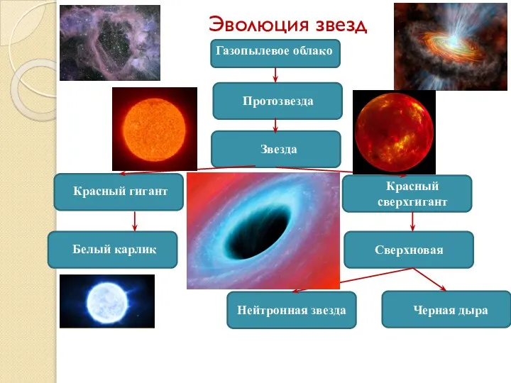 Эволюция звезд Газопылевое облако Протозвезда Звезда Красный гигант Красный сверхгигант Белый карлик