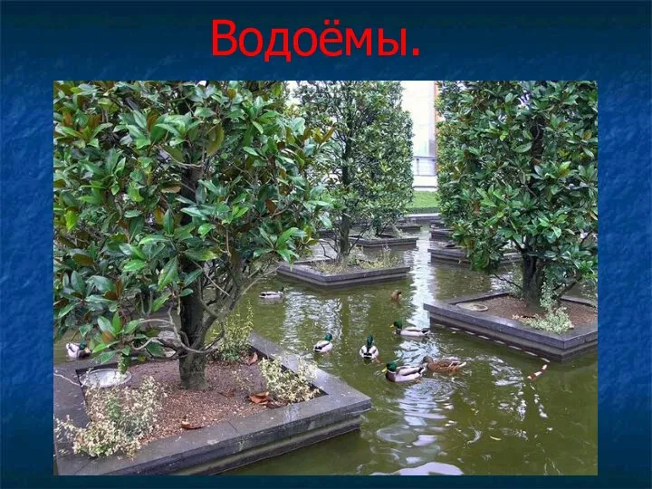 Водоёмы.