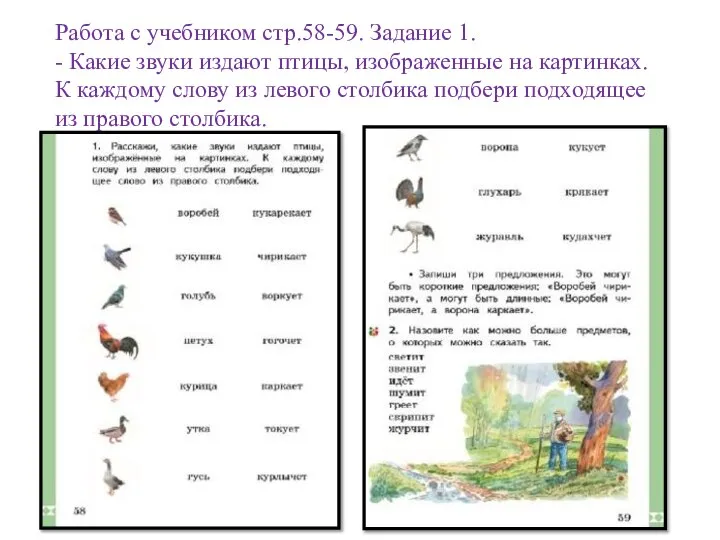 Работа с учебником стр.58-59. Задание 1. - Какие звуки издают птицы, изображенные