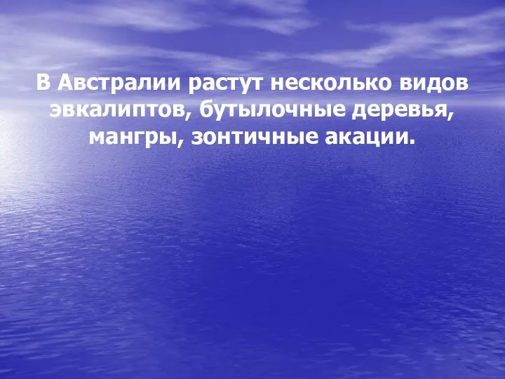 В Австралии растут несколько видов эвкалиптов, бутылочные деревья, мангры, зонтичные акации.