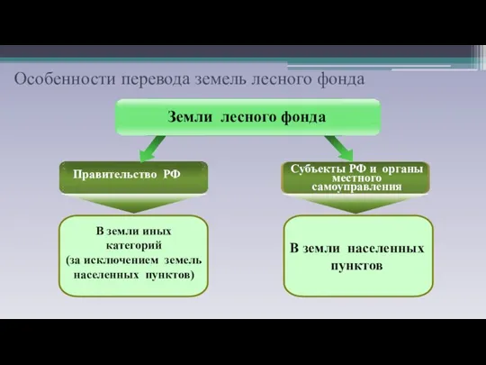 Правительство РФ Земли лесного фонда Субъекты РФ и органы местного самоуправления В