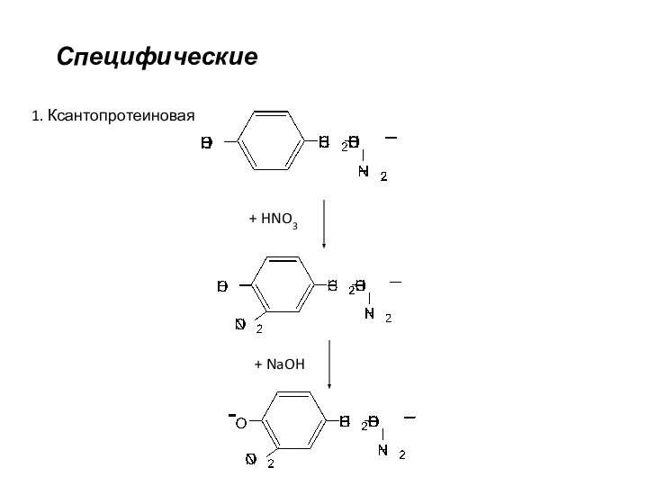 1. Ксантопротеиновая + HNO3 + NaOH Специфические