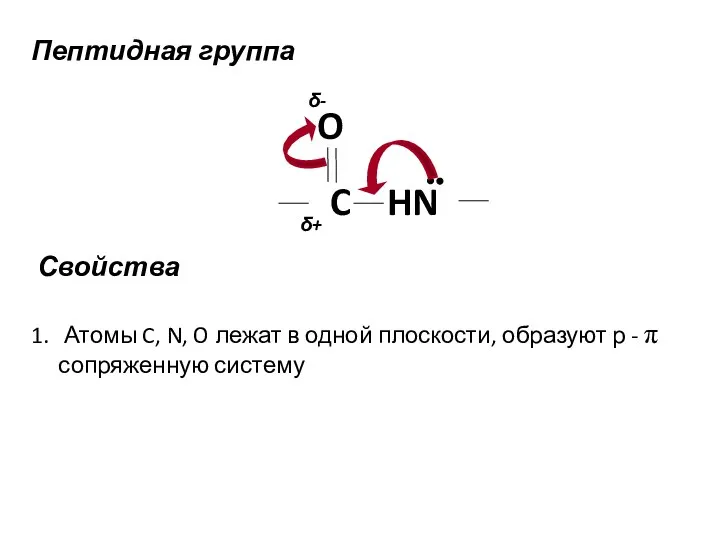 Пептидная группа C HN O δ- δ+ Свойства Атомы C, N, O