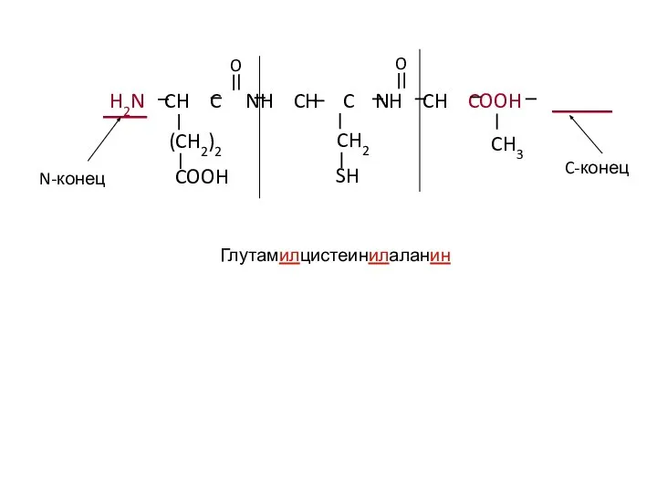 H2N CH C NH CH C NH CH COOH (CH2)2 COOH CH2