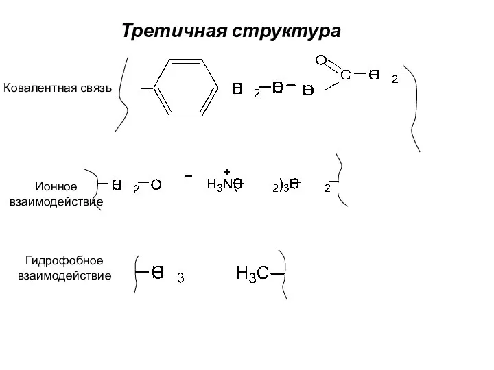 Третичная структура Ковалентная связь Ионное взаимодействие Гидрофобное взаимодействие