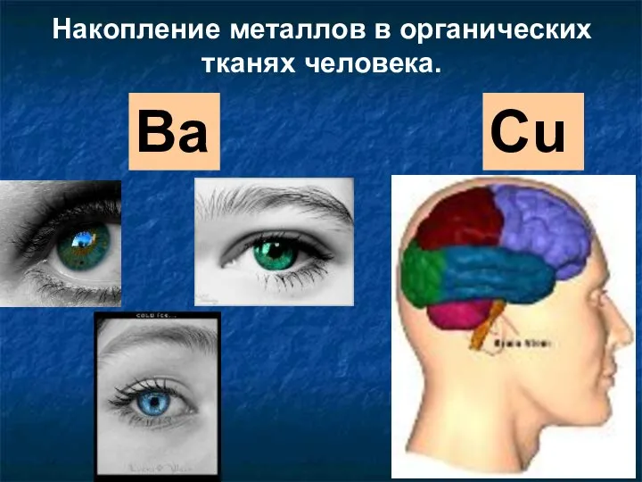 Ba Cu Накопление металлов в органических тканях человека.