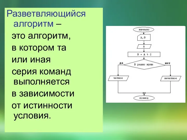 Разветвляющийся алгоритм – это алгоритм, в котором та или иная серия команд