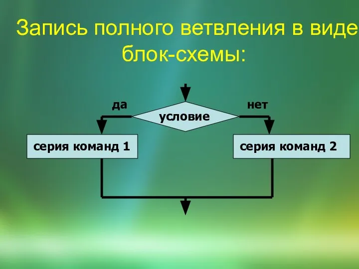 Запись полного ветвления в виде блок-схемы: условие серия команд 1 серия команд 2 да нет