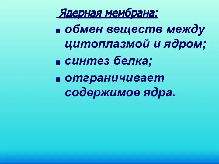 Ядерная мембрана: обмен веществ между цитоплазмой и ядром; синтез белка; отграничивает содержимое ядра.