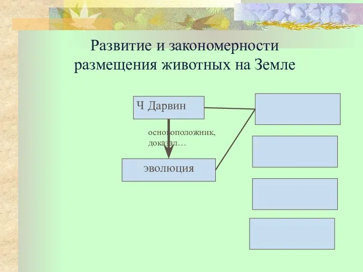 Развитие и закономерности размещения животных на Земле Ч Дарвин эволюция основоположник, доказал…