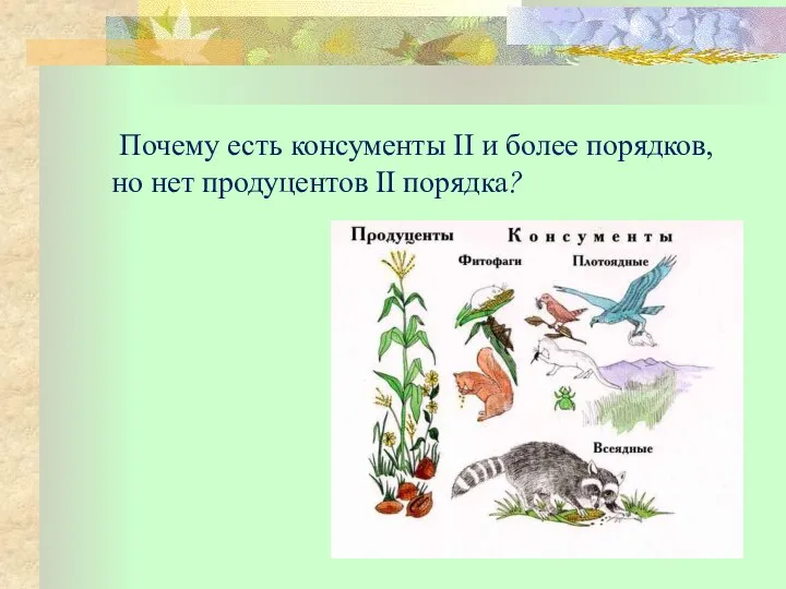 Почему есть консументы II и более порядков, но нет продуцентов II порядка?