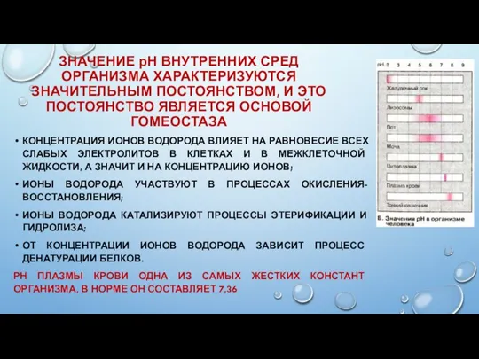 ЗНАЧЕНИЕ рН ВНУТРЕННИХ СРЕД ОРГАНИЗМА ХАРАКТЕРИЗУЮТСЯ ЗНАЧИТЕЛЬНЫМ ПОСТОЯНСТВОМ, И ЭТО ПОСТОЯНСТВО ЯВЛЯЕТСЯ