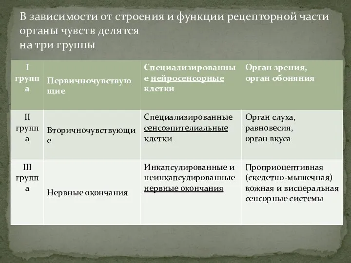 В зависимости от строения и функции рецепторной части органы чувств делятся на три группы