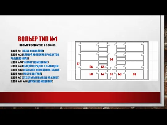 ВОЛЬЕР ТИП №1 ВОЛЬЕР СОСТОИТ ИЗ 9 БЛОКОВ. БЛОК №1 (ВХОД, СТЕЛЛАЖИ)