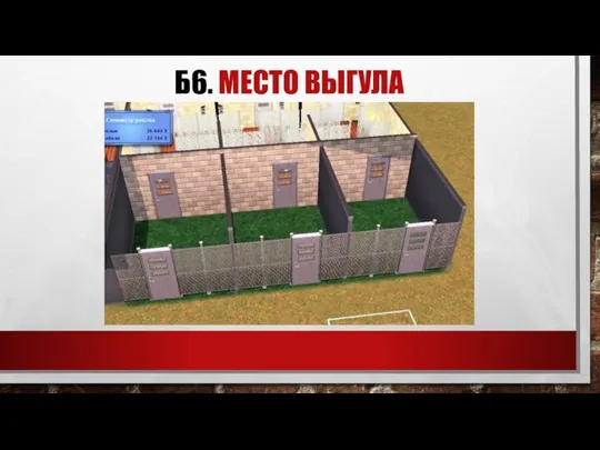 Б6. МЕСТО ВЫГУЛА