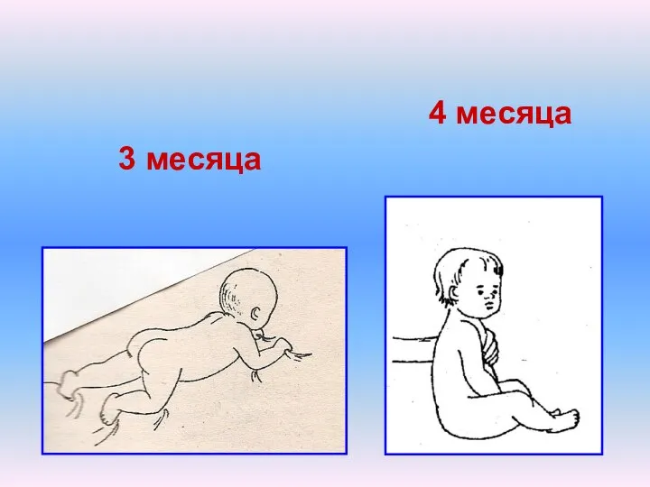 3 месяца 4 месяца