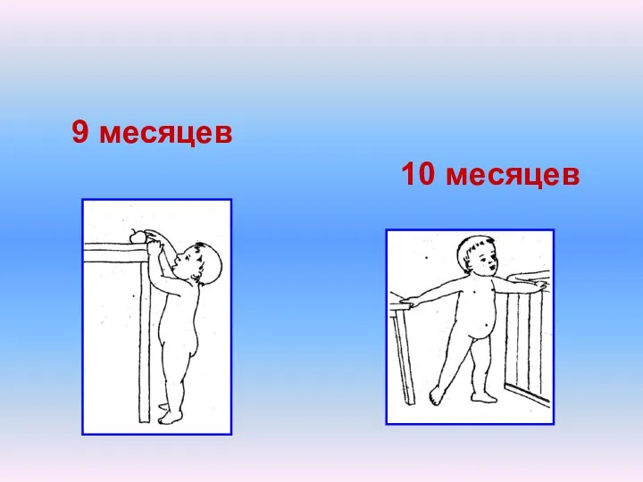 9 месяцев 10 месяцев