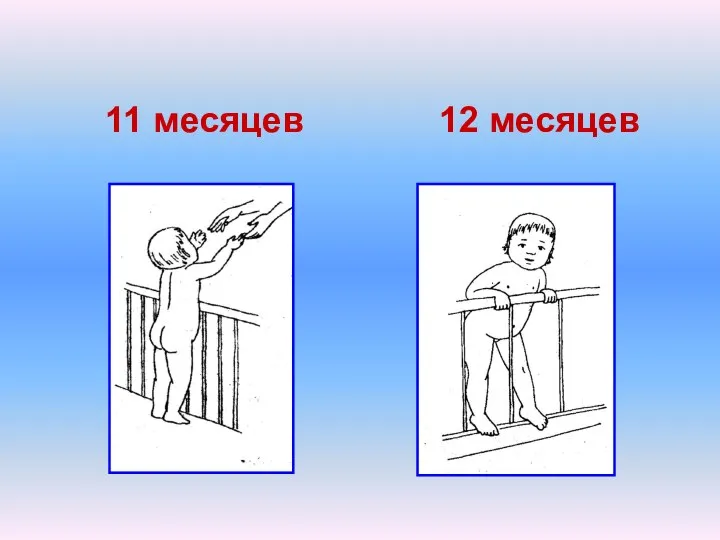 11 месяцев 12 месяцев