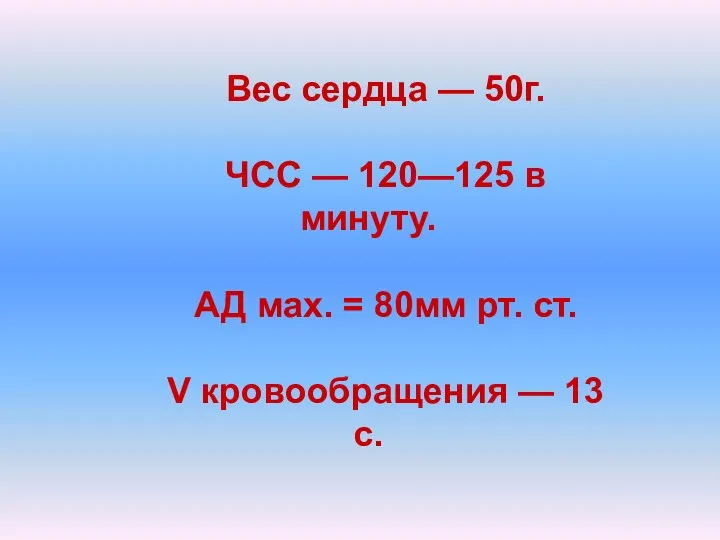 Вес сердца — 50г. ЧСС — 120—125 в минуту. АД мах. =