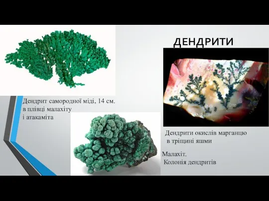 ДЕНДРИТИ Дендрит самородної міді, 14 см. в плівці малахіту і атакаміта Дендрити