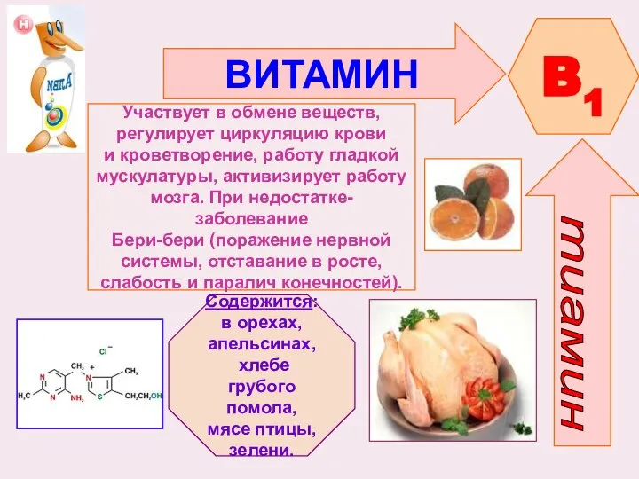 ВИТАМИН B1 Участвует в обмене веществ, регулирует циркуляцию крови и кроветворение, работу