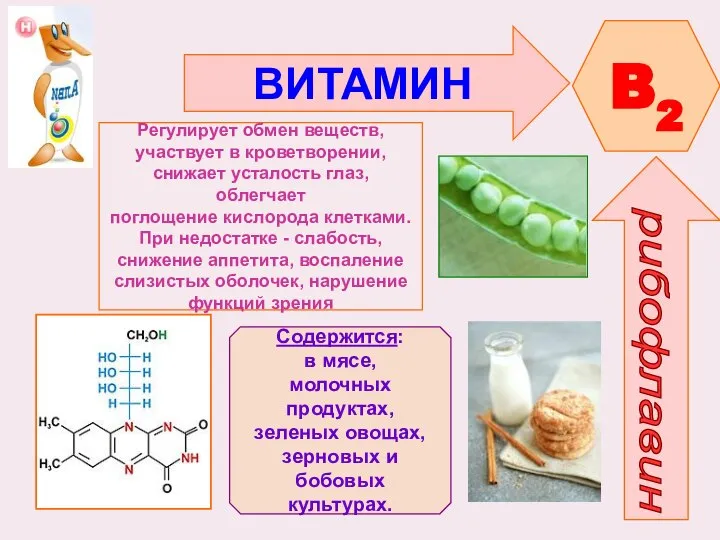 ВИТАМИН B2 рибофлавин Регулирует обмен веществ, участвует в кроветворении, снижает усталость глаз,