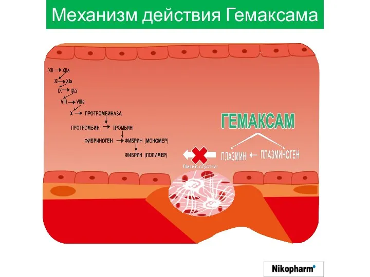 Механизм действия Гемаксама