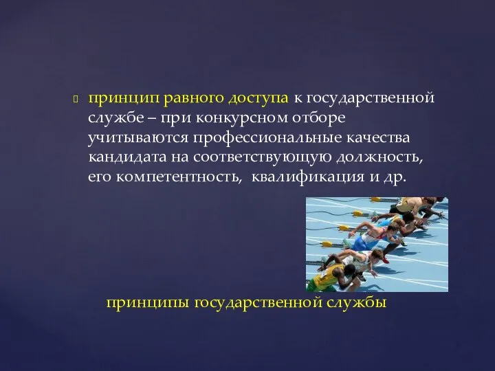 принцип равного доступа к государственной службе – при конкурсном отборе учитываются профессиональные