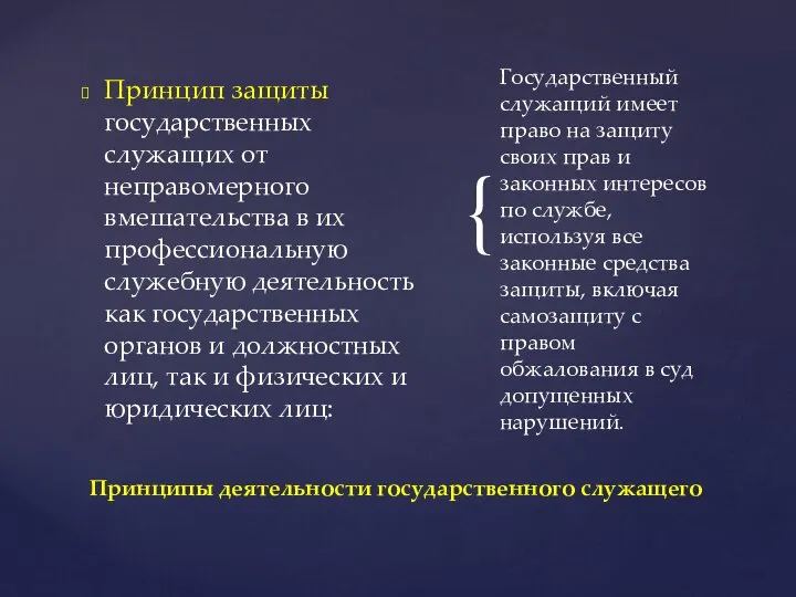 Принцип защиты государственных служащих от неправомерного вмешательства в их профессиональную служебную деятельность