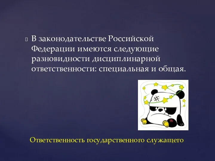 В законодательстве Российской Федерации имеются следующие разновидности дисциплинарной ответственности: специальная и общая. Ответственность государственного служащего