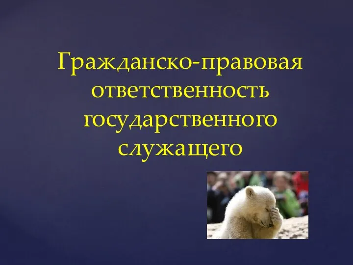 Гражданско-правовая ответственность государственного служащего