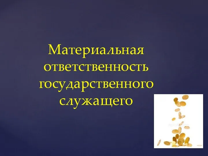 Материальная ответственность государственного служащего