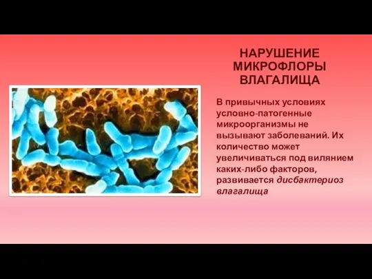 НАРУШЕНИЕ МИКРОФЛОРЫ ВЛАГАЛИЩА В привычных условиях условно-патогенные микроорганизмы не вызывают заболеваний. Их