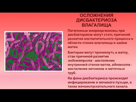 ВОЗМОЖНЫЕ ОСЛОЖНЕНИЯ ДИСБАКТЕРИОЗА ВЛАГАЛИЩА Патогенные микроорганизмы при дисбактериозе могут стать причиной развития