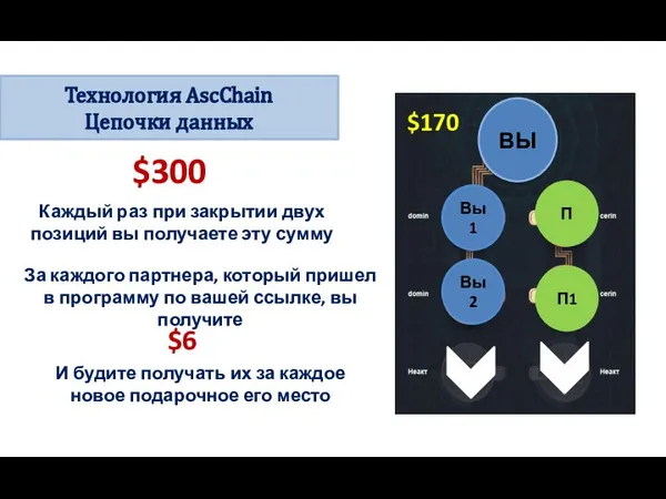 Технология AscChain Цепочки данных ВЫ Вы1 Вы2 П П1 $300 Каждый раз
