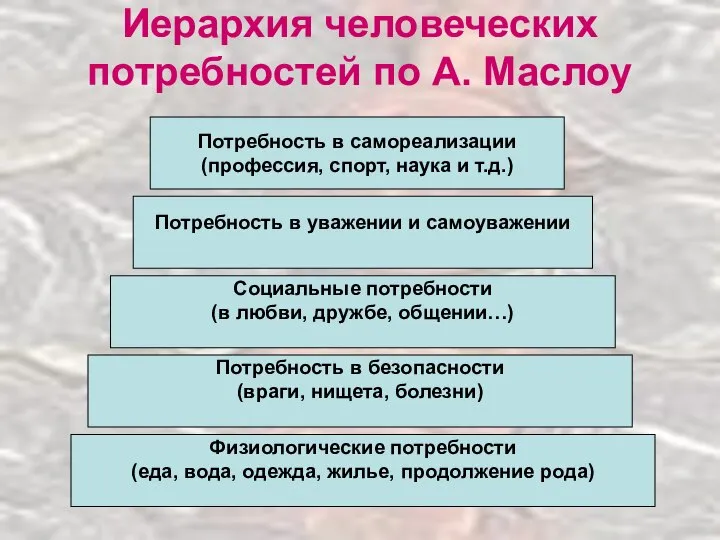 Физиологические потребности (еда, вода, одежда, жилье, продолжение рода) Иерархия человеческих потребностей по