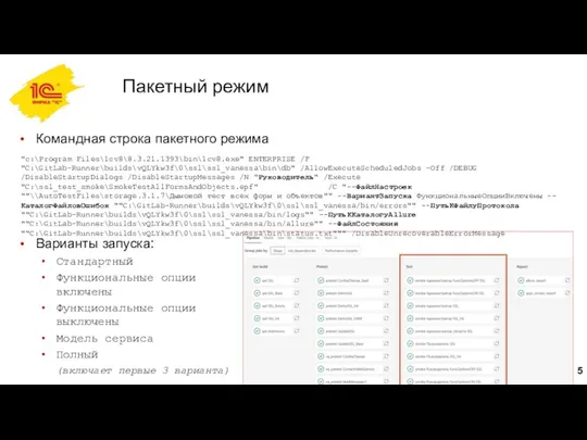 Пакетный режим Командная строка пакетного режима Варианты запуска: Стандартный Функциональные опции включены