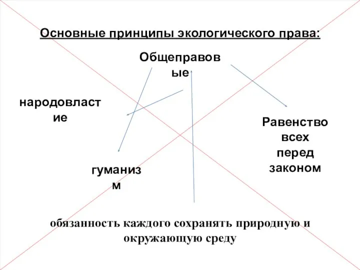 Основные принципы экологического права: обязанность каждого сохранять природную и окружающую среду Общеправовые