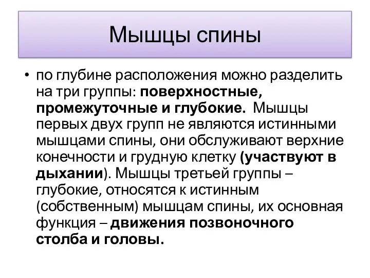 Мышцы спины по глубине расположения можно разделить на три группы: поверхностные, промежуточные