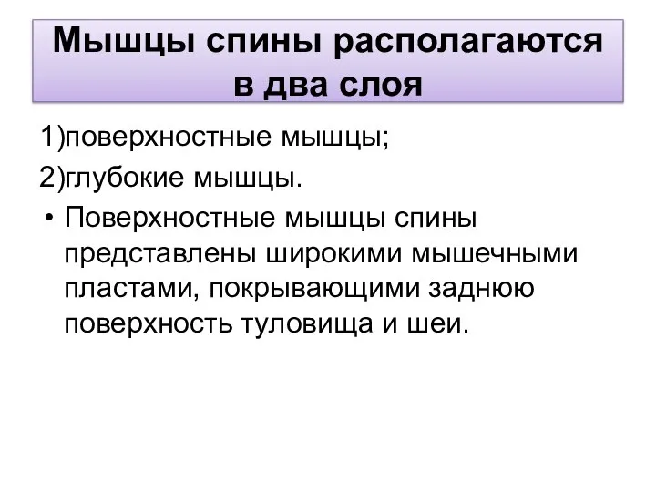 Мышцы спины располагаются в два слоя 1)поверхностные мышцы; 2)глубокие мышцы. Поверхностные мышцы