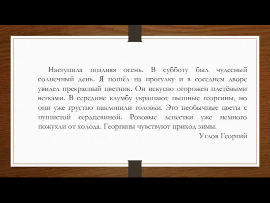 Наступила поздняя осень. В субботу был чудесный солнечный день. Я пошёл на