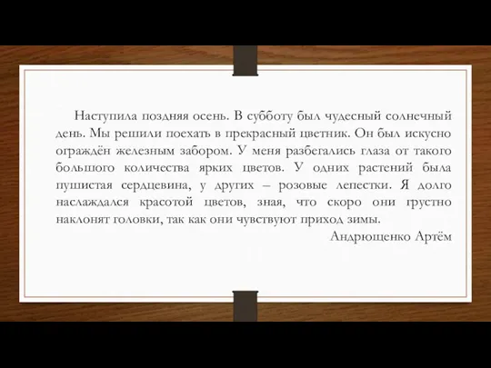 Наступила поздняя осень. В субботу был чудесный солнечный день. Мы решили поехать