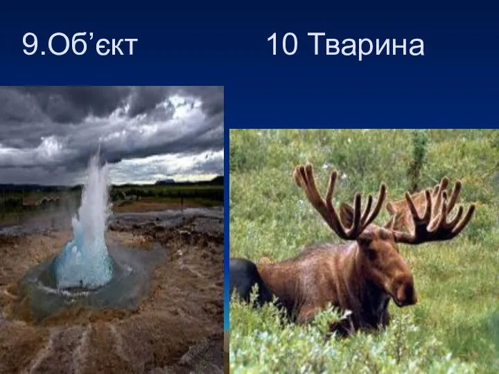 9.Об’єкт 10 Тварина