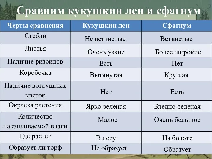 Сравним кукушкин лен и сфагнум Не ветвистые Ветвистые Очень узкие Более широкие