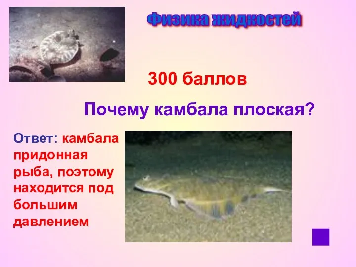 Физика жидкостей 300 баллов Почему камбала плоская? Ответ: камбала придонная рыба, поэтому находится под большим давлением