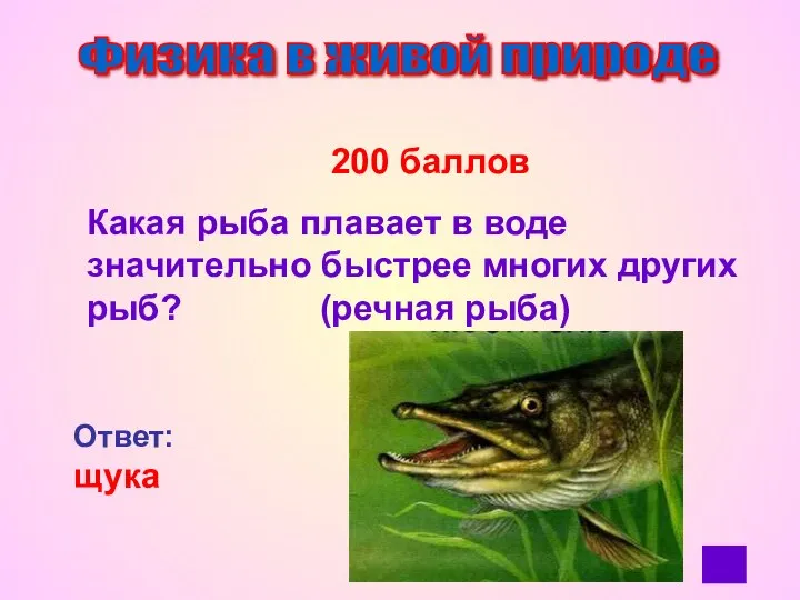 Физика в живой природе 200 баллов Какая рыба плавает в воде значительно