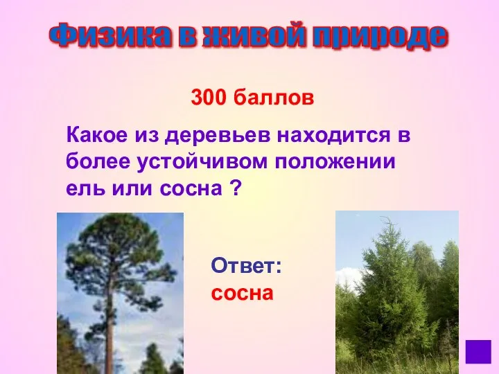 Физика в живой природе 300 баллов Какое из деревьев находится в более